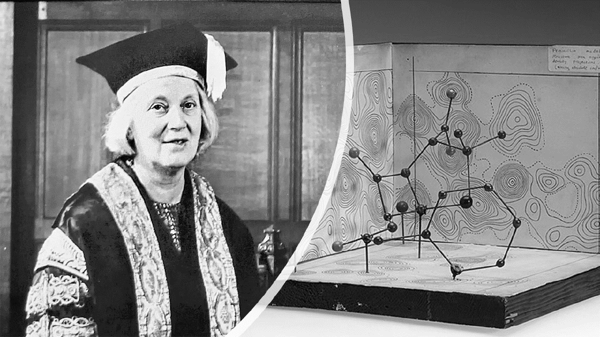 Scientific Woman Of The Week Dorothy Crowfoot Hodgkin Faculté Des