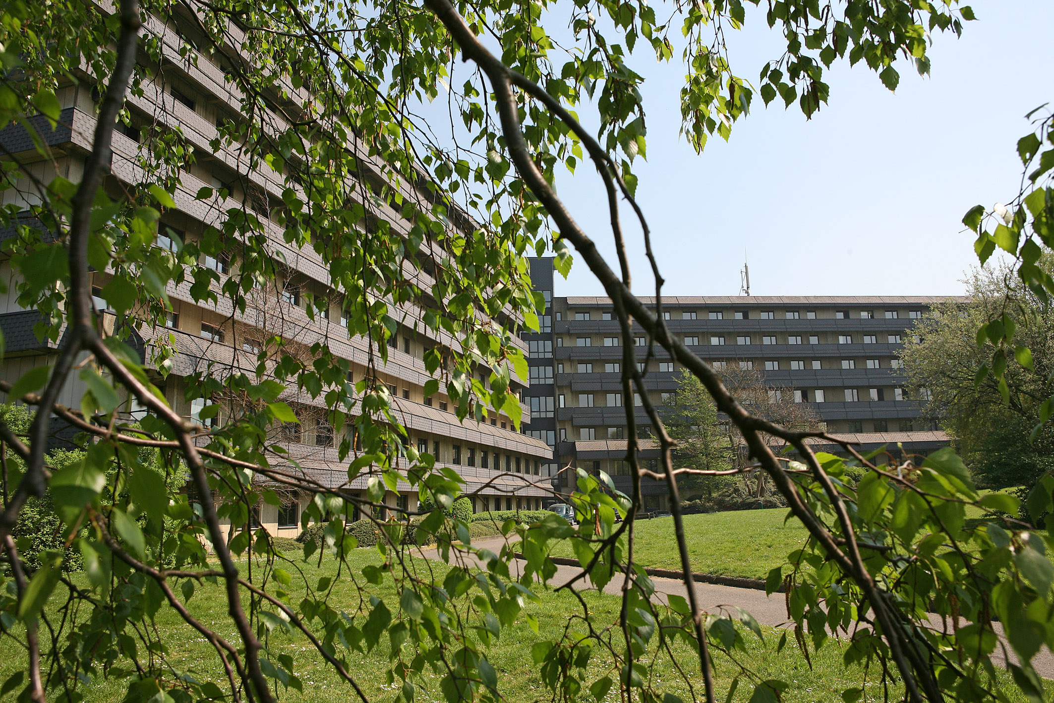 Contact Département d'Informatique - Faculté des Sciences